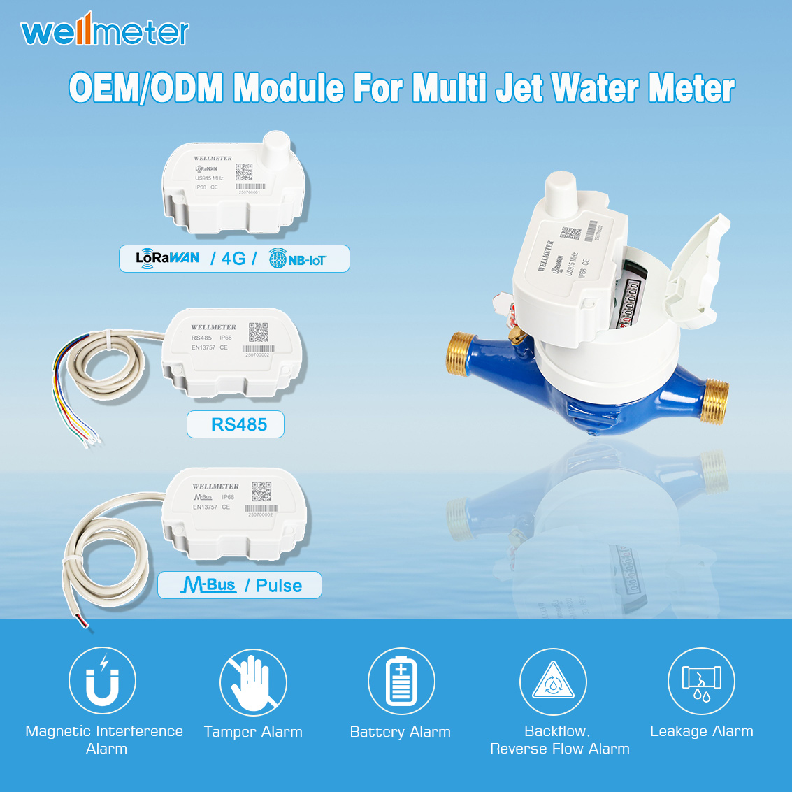 OEM/ODM Multi Jet Water Meter Module
